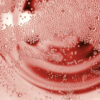 900-wine-prosecco-rare-rose-spumante-sparkling-wine-v1.0 prosecco-rare-rose-spumante-sparkling